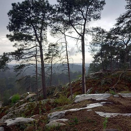 Gite Les Petites Bruyeres Veneux-les-Sablons Buitenkant foto